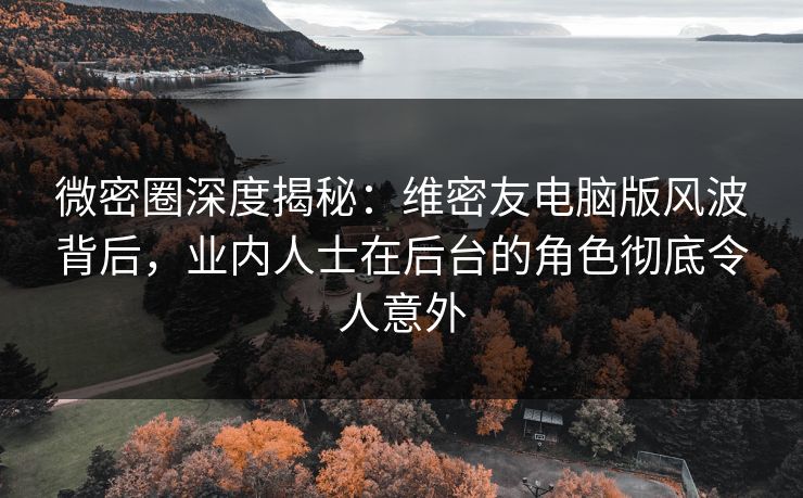 微密圈深度揭秘：维密友电脑版风波背后，业内人士在后台的角色彻底令人意外