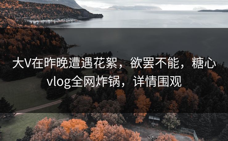 大V在昨晚遭遇花絮，欲罢不能，糖心vlog全网炸锅，详情围观