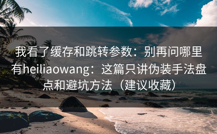 我看了缓存和跳转参数：别再问哪里有heiliaowang：这篇只讲伪装手法盘点和避坑方法（建议收藏）