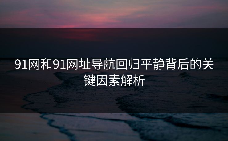 91网和91网址导航回归平静背后的关键因素解析